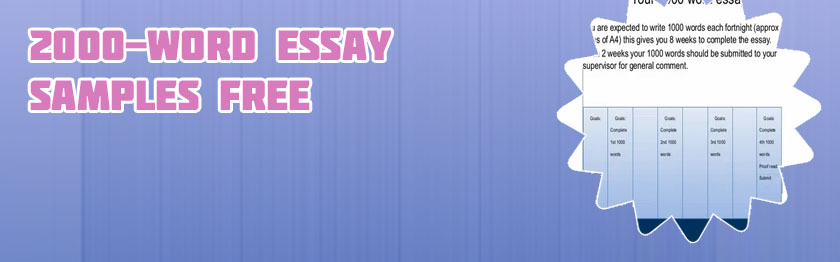 2000 word essay