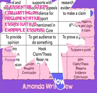 Argumentative piece of writing