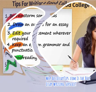Best essay writing help